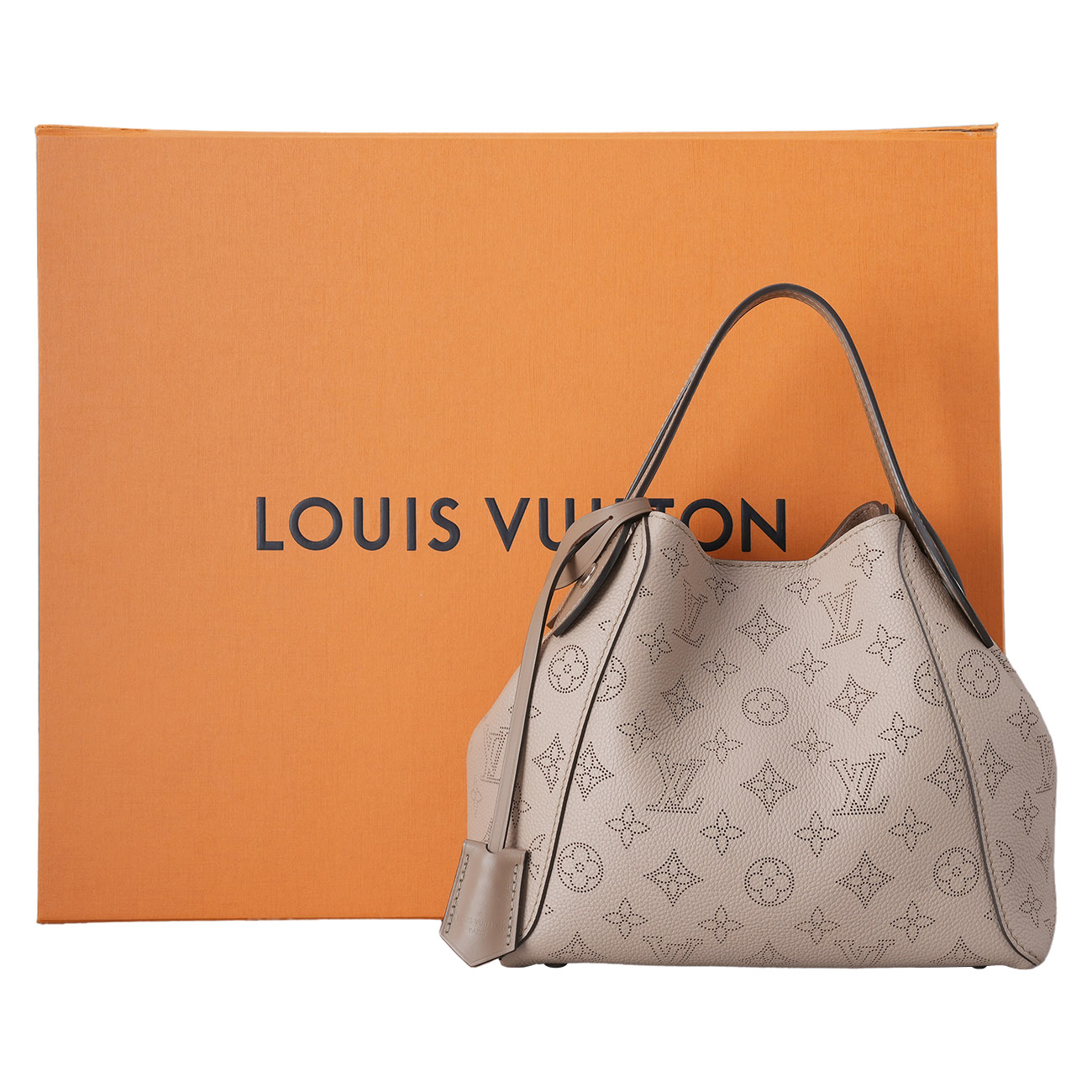 LOUIS VUITTON(USED)루이비통 M54351 히나 PM